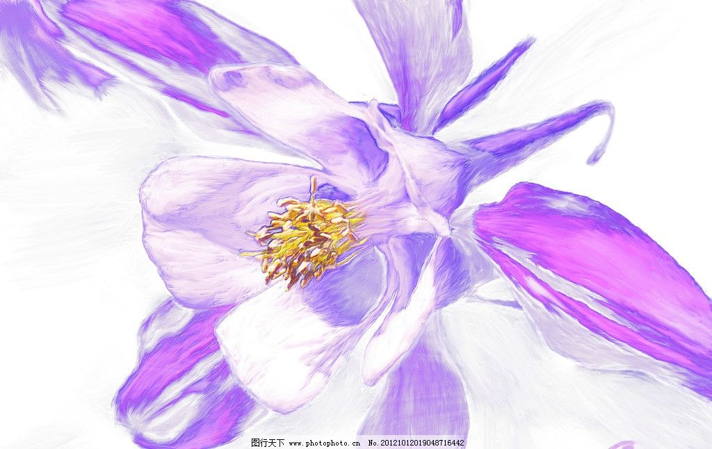 花卉 花 紫色 花朵 手绘花 油画花 绘画书法 文化艺术 设计 100dpi