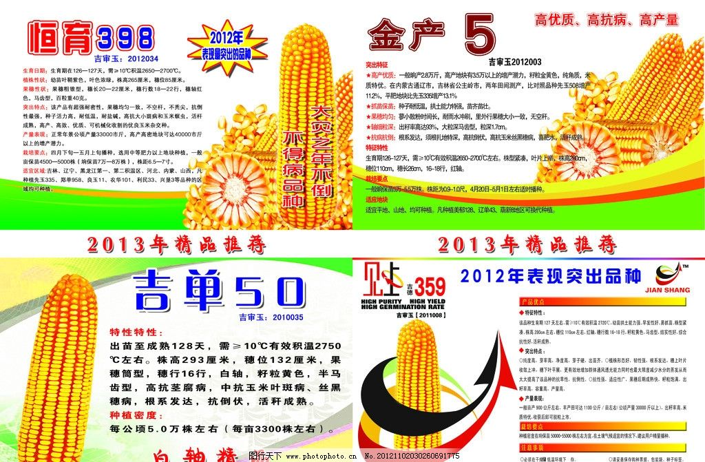玉米种子宣传图片