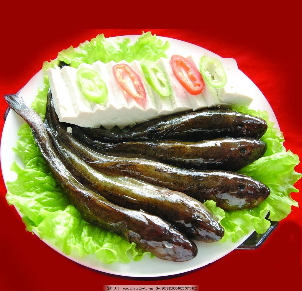 砂锅海鲶鱼豆腐图片