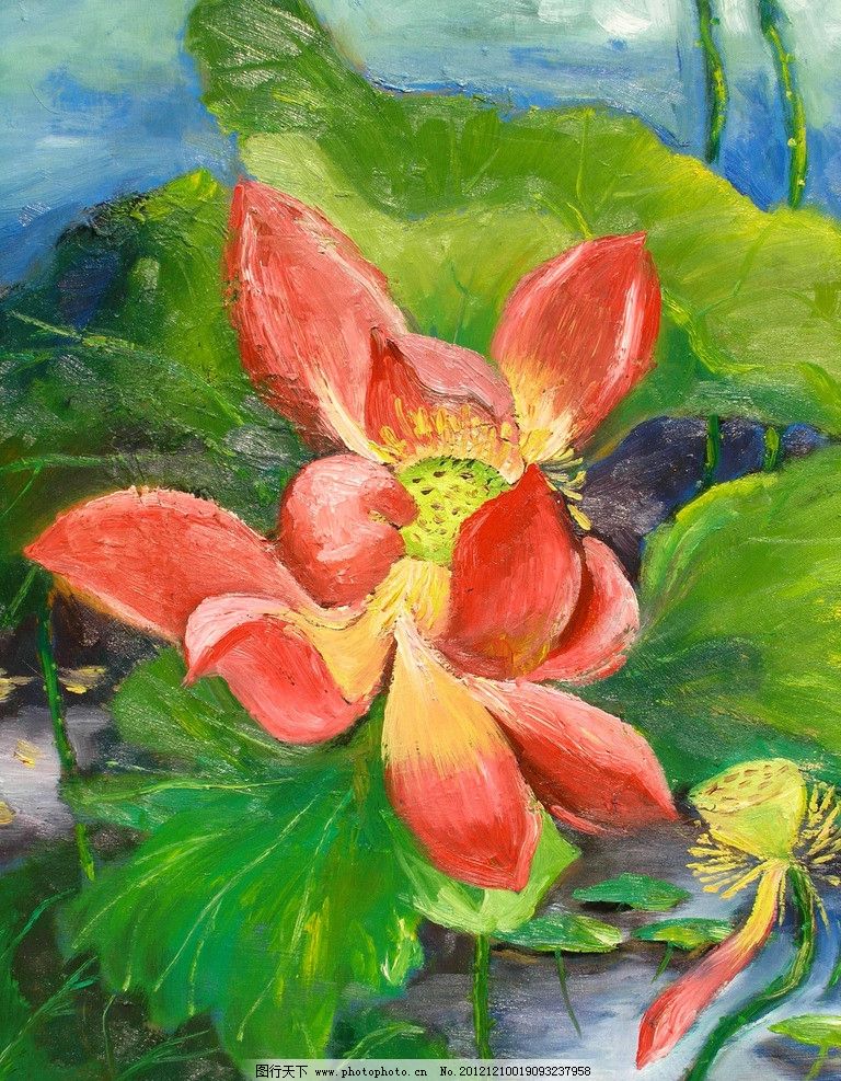 夏日红荷 美术 油画 花卉 荷花画 荷花 红荷 荷叶 油画艺术 油画作品图片