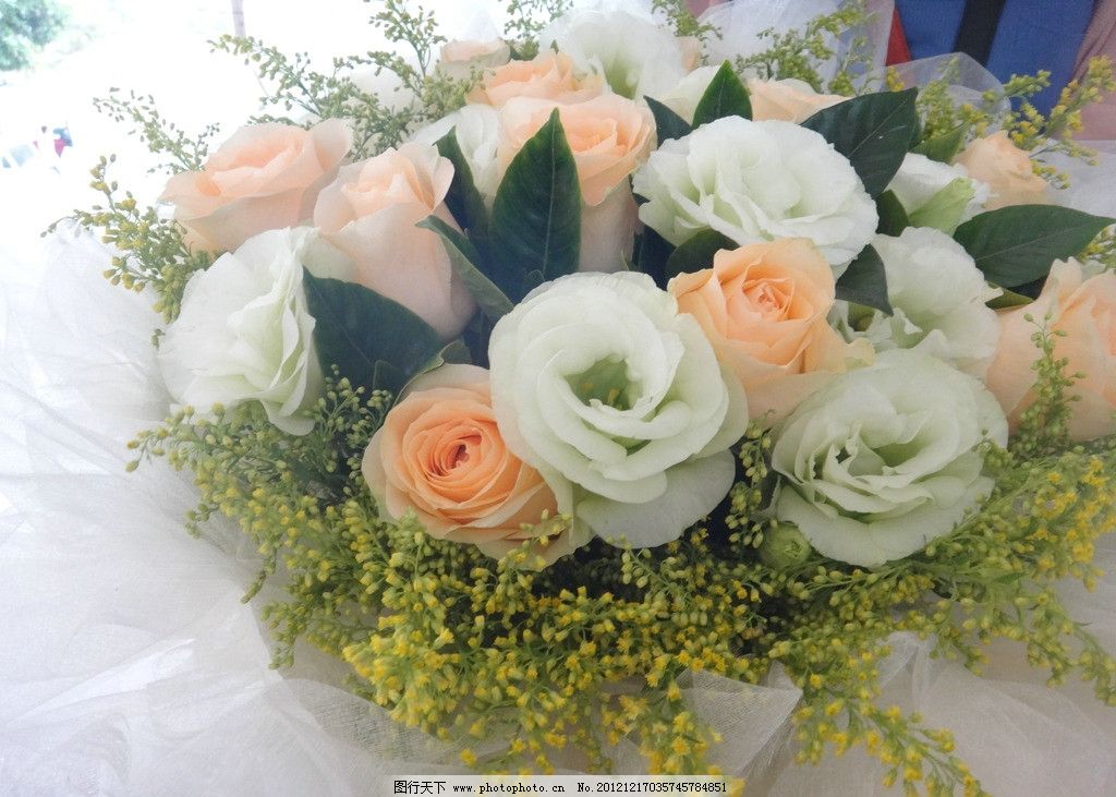 玫瑰图片,白玫瑰 黄玫瑰 束花 包装花束 浪漫花
