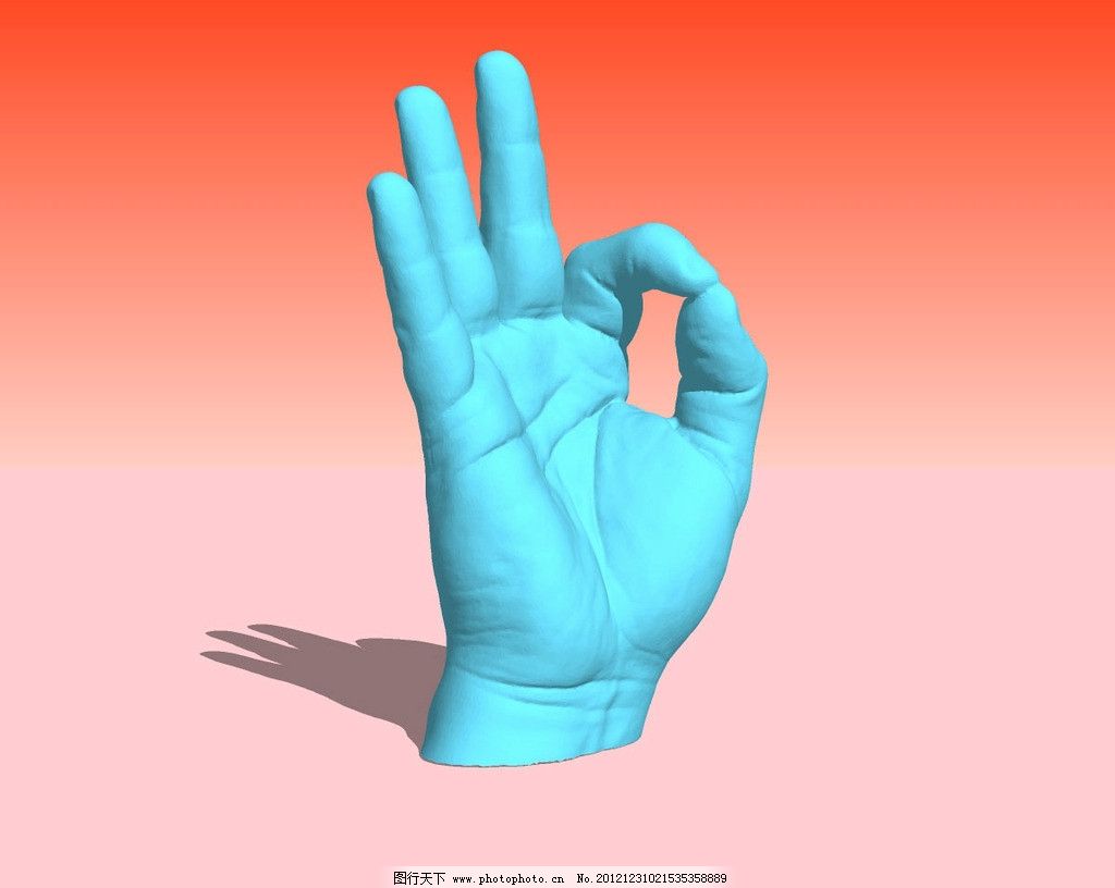 手特写精致3D模型