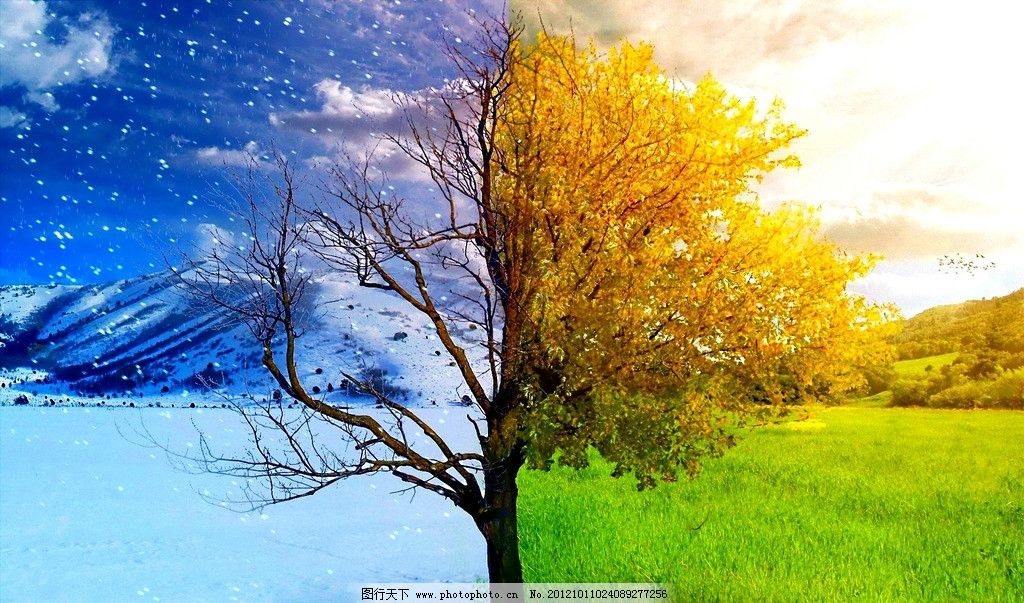 秋冬季节更替,秋季,冬季,雪山,草地,绿色,生命,枯萎,落叶,自然风光,自然景观,设计,72DPI,JPG