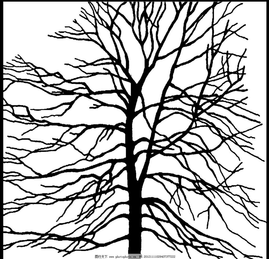 装饰图案-简约秋季树枝装饰图案-好图网
